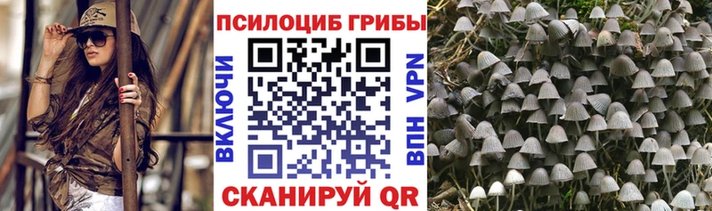 мориарти какой сайт  где найти   Минеральные Воды  Галлюциногенные грибы мицелий 